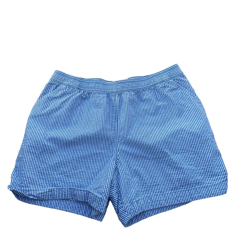 Land’s Brilliant‎ Cobalt Stripe shorts XL